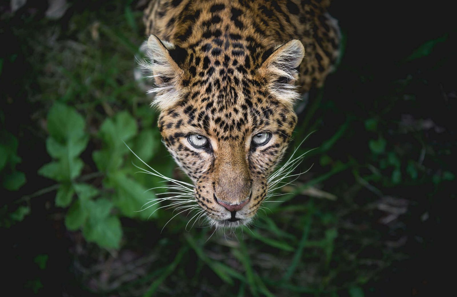 Read more about the article The Ultimate Africa Travel Bucket List
