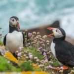 Best Spots to See Wildlife in the U.S.